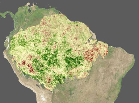 Sequí­a del Amazonas de 2005