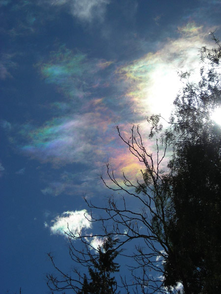 Nubes iridiscentes (click para ampliar la imagen)
