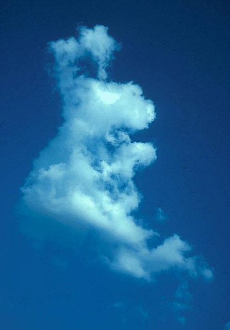 Nubes de formas curiosas - conejito