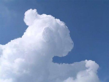 Nubes de formas curiosas - el Rey León