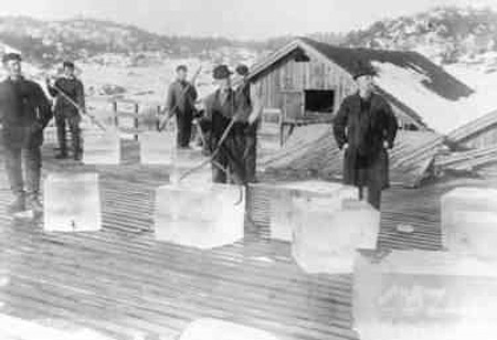 Producción de hielo en el siglo XIX