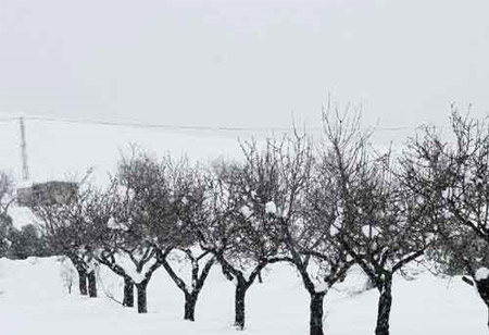 Temporal de nieve en España