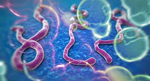 Virus-ebola