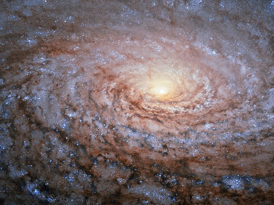 The arrangement of the spiral arms in the galaxy Messier 63, seen here in a new image from the NASA/ESA Hubble Space Telescope, recall the pattern at the centre of a sunflower. So the nickname for this cosmic object — the Sunflower Galaxy — is no coincidence. Discovered by Pierre Mechain in 1779, the galaxy later made it as the 63rd entry into fellow French astronomer Charles Messier’s famous catalogue, published in 1781. The two astronomers spotted the Sunflower Galaxy’s glow in the small, northern constellation Canes Venatici (the Hunting Dogs). We now know this galaxy is about 27 million light-years away and belongs to the M51 Group — a group of galaxies, named after its brightest member, Messier 51, another spiral-shaped galaxy dubbed the Whirlpool Galaxy. Galactic arms, sunflowers and whirlpools are only a few examples of nature’s apparent preference for spirals. For galaxies like Messier 63 the winding arms shine bright because of the presence of recently formed, blue–white giant stars, readily seen in this Hubble image.