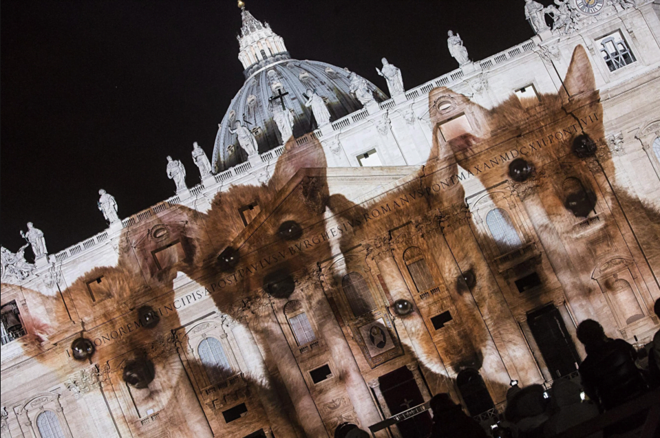 El Vaticano se ilumina por el medio ambiente 8