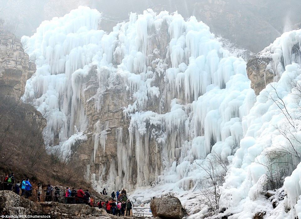Congelado- China