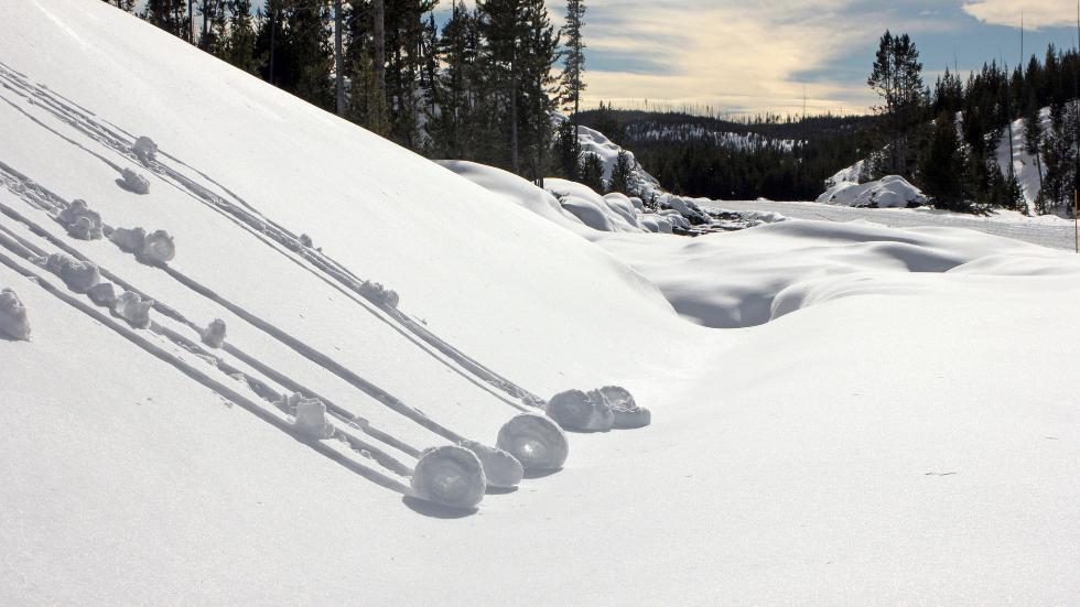 Gli-snow-rollers-sono-molto-piu-facilmente-osservabili-quando-il-pendio-e-scosceso-Flickr-Yellowstone-National-Park