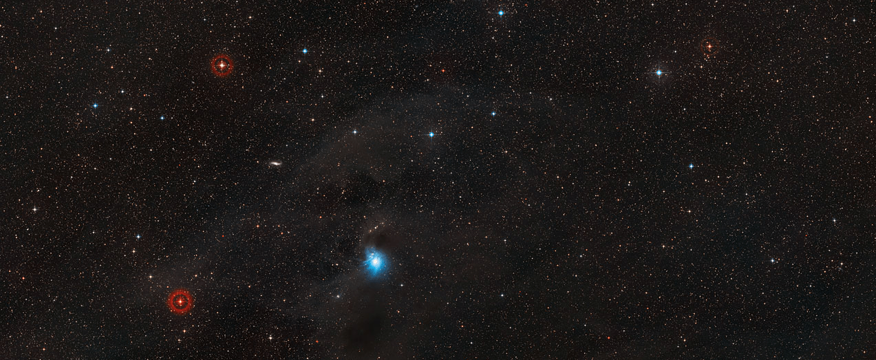nebulosa de reflexion IC 2631 b