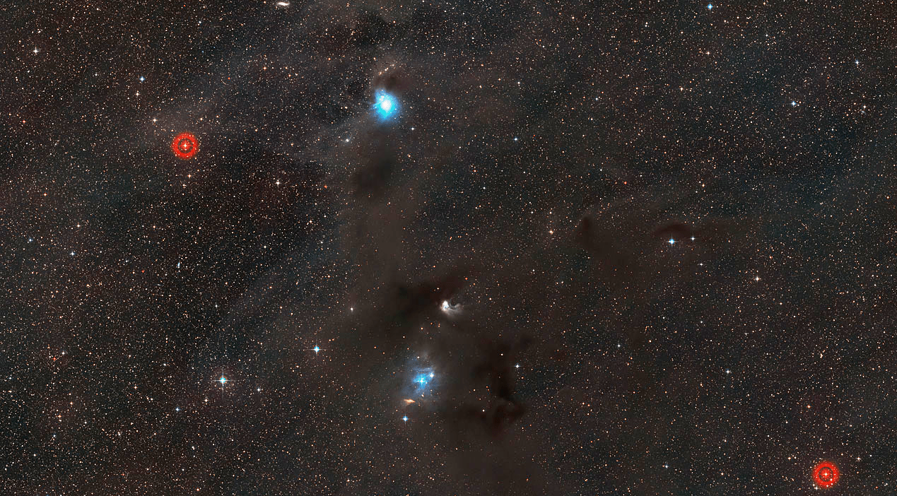 nebulosa de reflexion IC 2631 d
