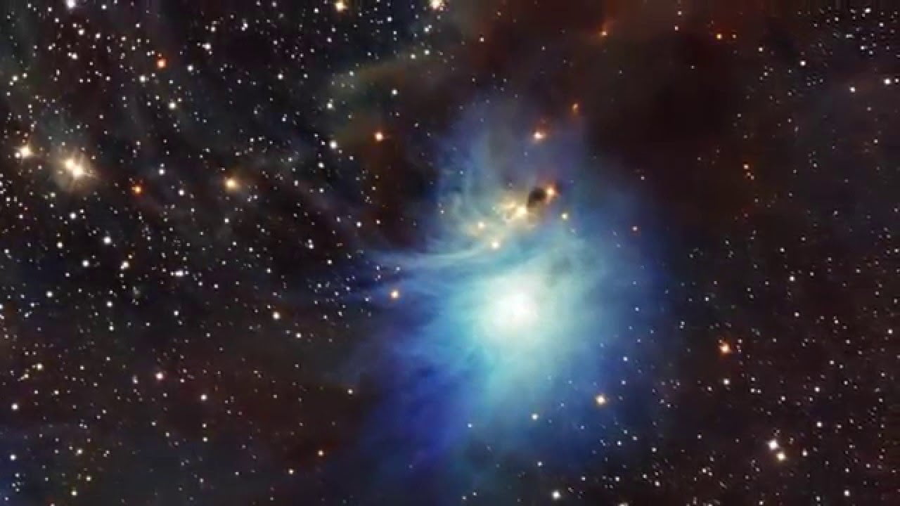 nebulosa de reflexion IC 2631