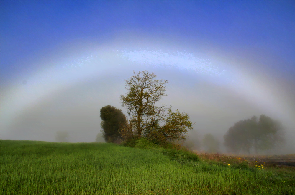 arco-de-niebla-8
