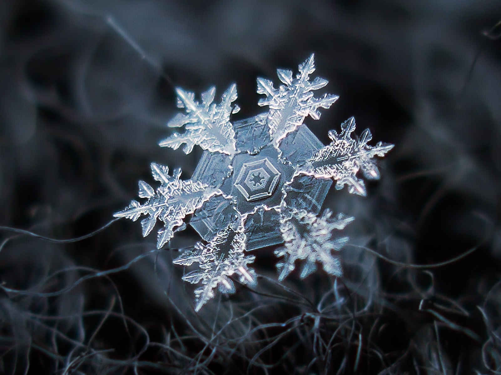 Copos de nieve bajo el microscopio de barrido «los cristales de hielo» – Nuestroclima