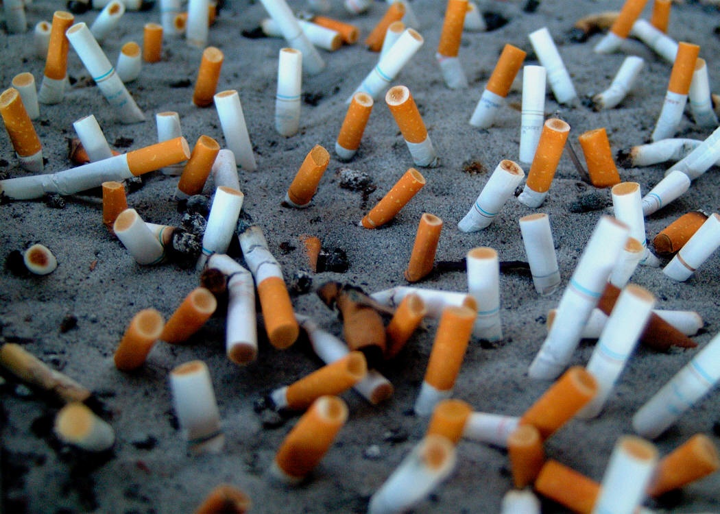 La contaminación plástica tóxica por colillas de cigarrillos – Nuestroclima