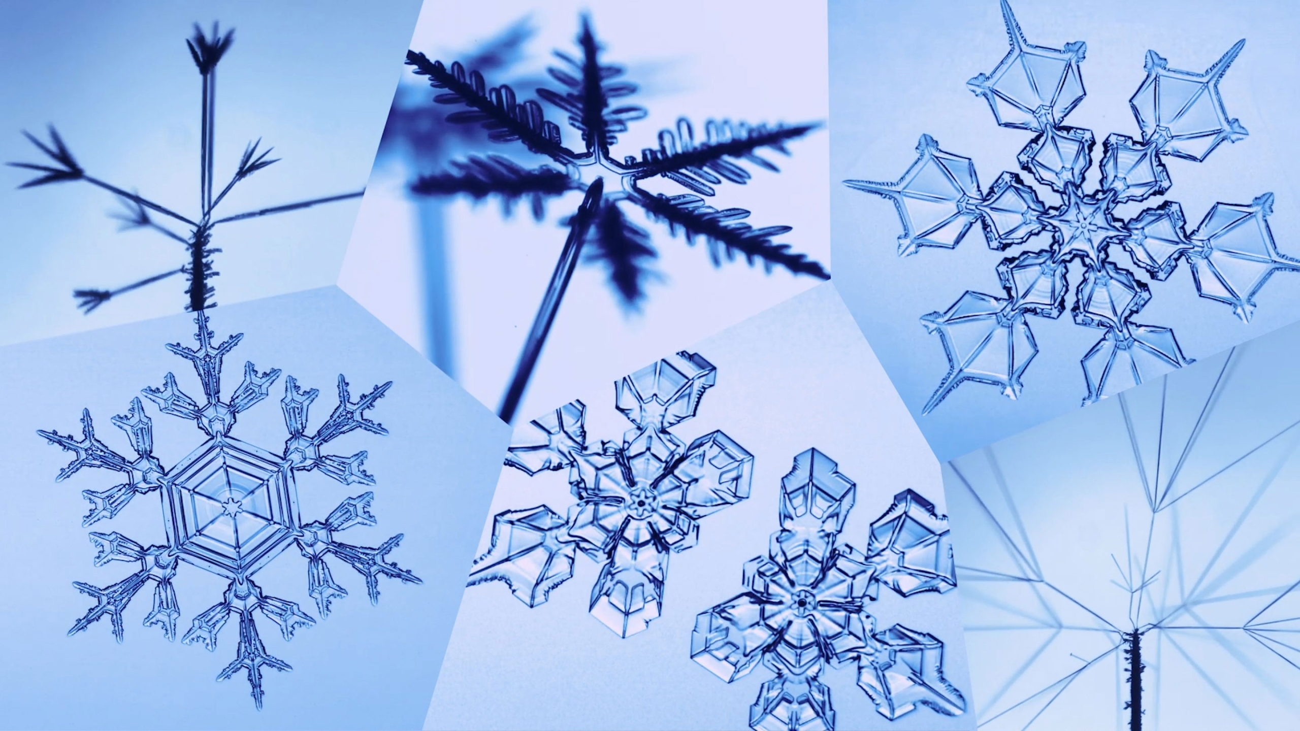 El origen de las formas de los cristales de hielo – Nuestroclima