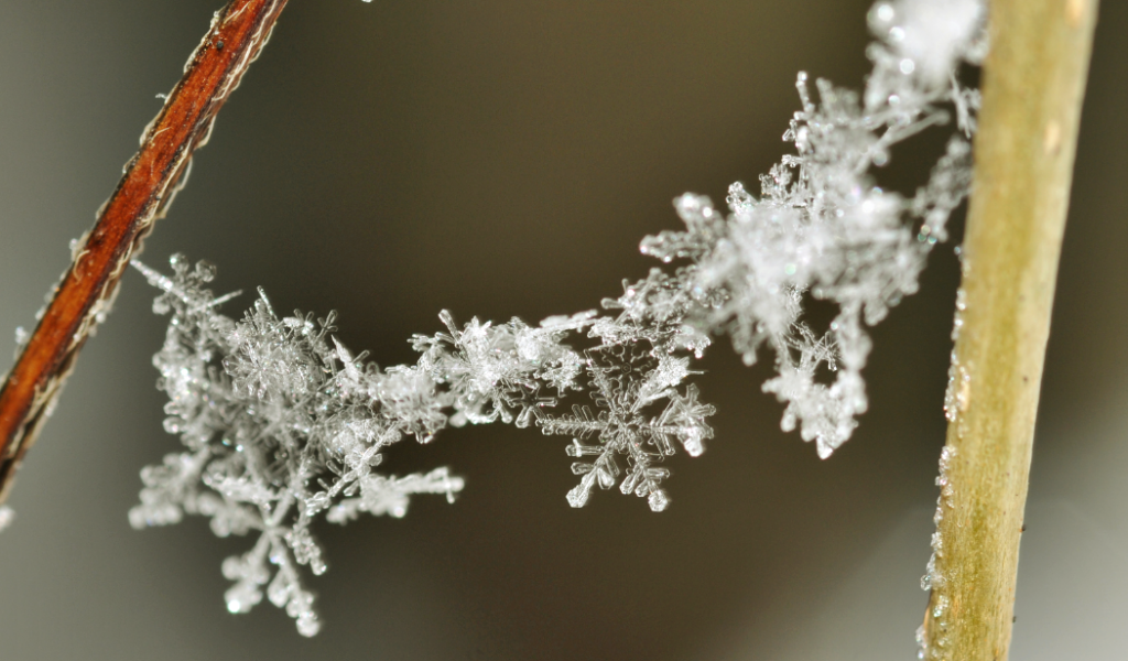 Las diferentes formas de los cristales de hielo y su origen