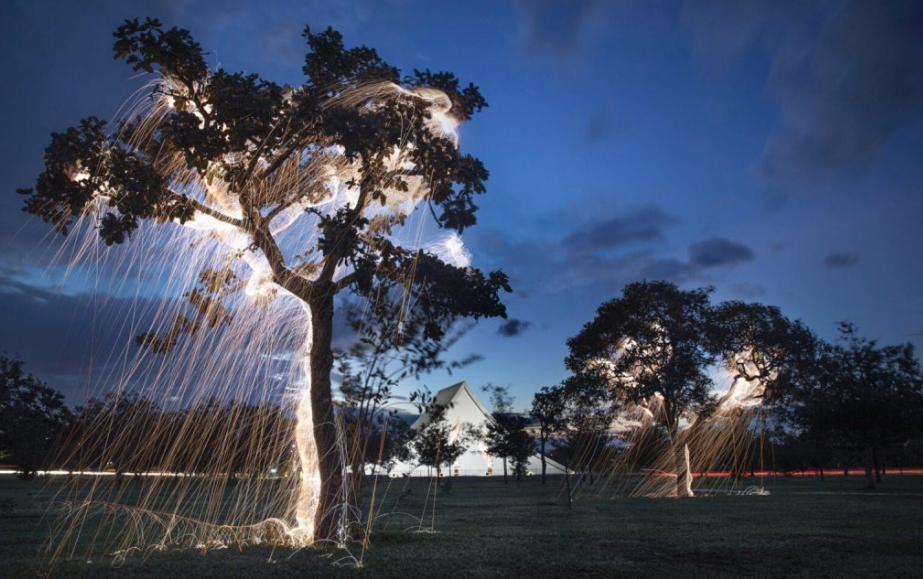 Esculturas arbóreas de luz – Nuestroclima