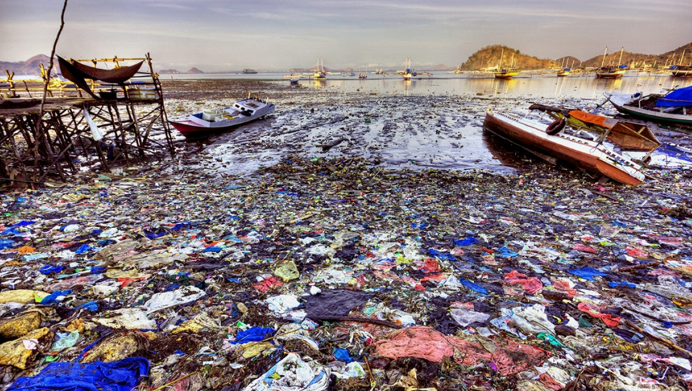 Toneladas de basura del Pacífico: el resultado de la limpieza oceánica más  grande – Nuestroclima