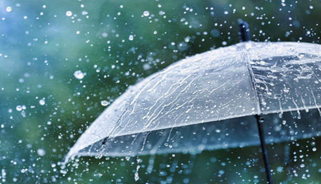 Los beneficios que aportan la lluvia que quizás desconocías – Nuestroclima