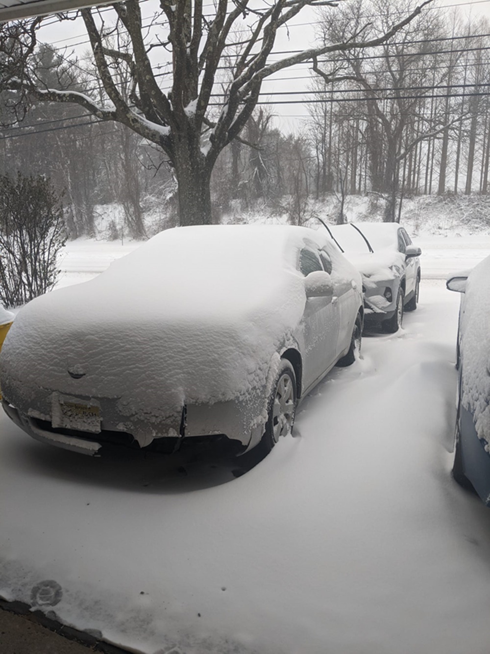 pronostico de nieve en new jersey