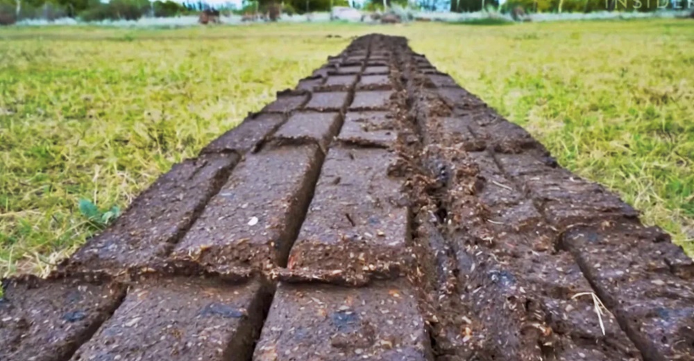 “Bio troncos” para reemplazar a la leña y al carbón, un invento argentino