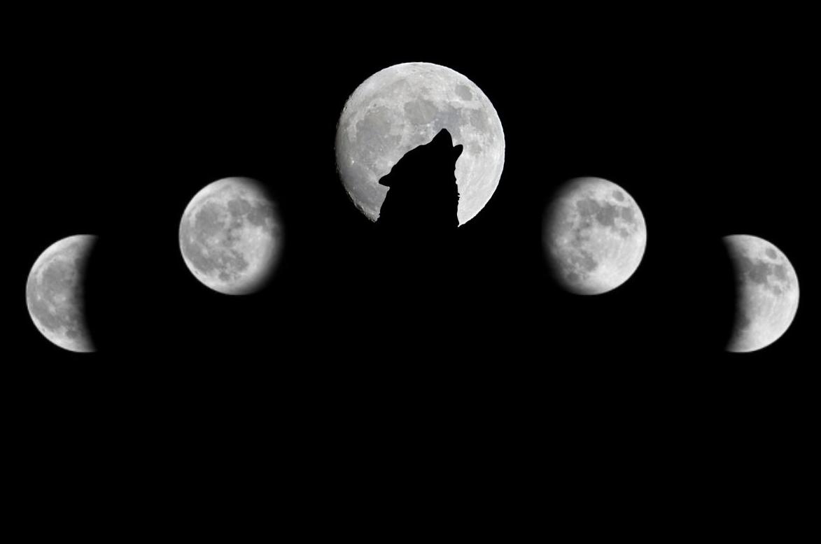 Llega la Luna de lobo: qué es y cuándo se puede ver – Nuestroclima