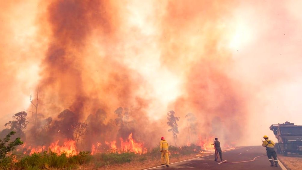 Incendios más devastadores que nunca. ¿Por qué?